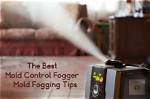Does Mold Fogging Really Work?