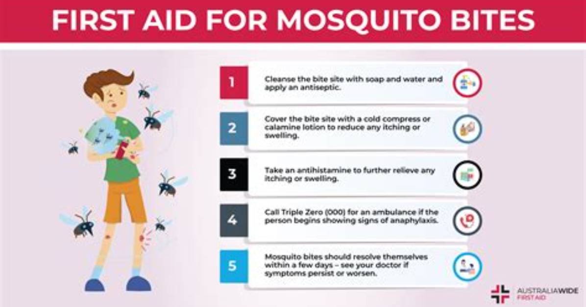 Does Mosquito Block Work?