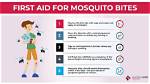 Does Mosquito Block Work?