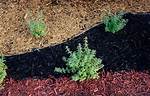 Does Mulch Keep Ticks Away