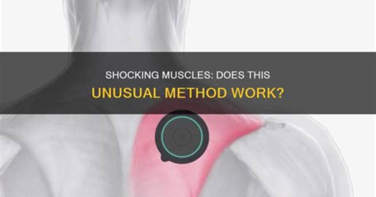 Does Muscle Shocking Work?