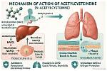 Does N Acetylcysteine Work?