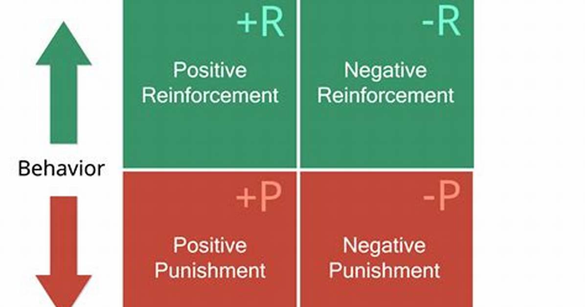 Does Negative Reinforcement Work?