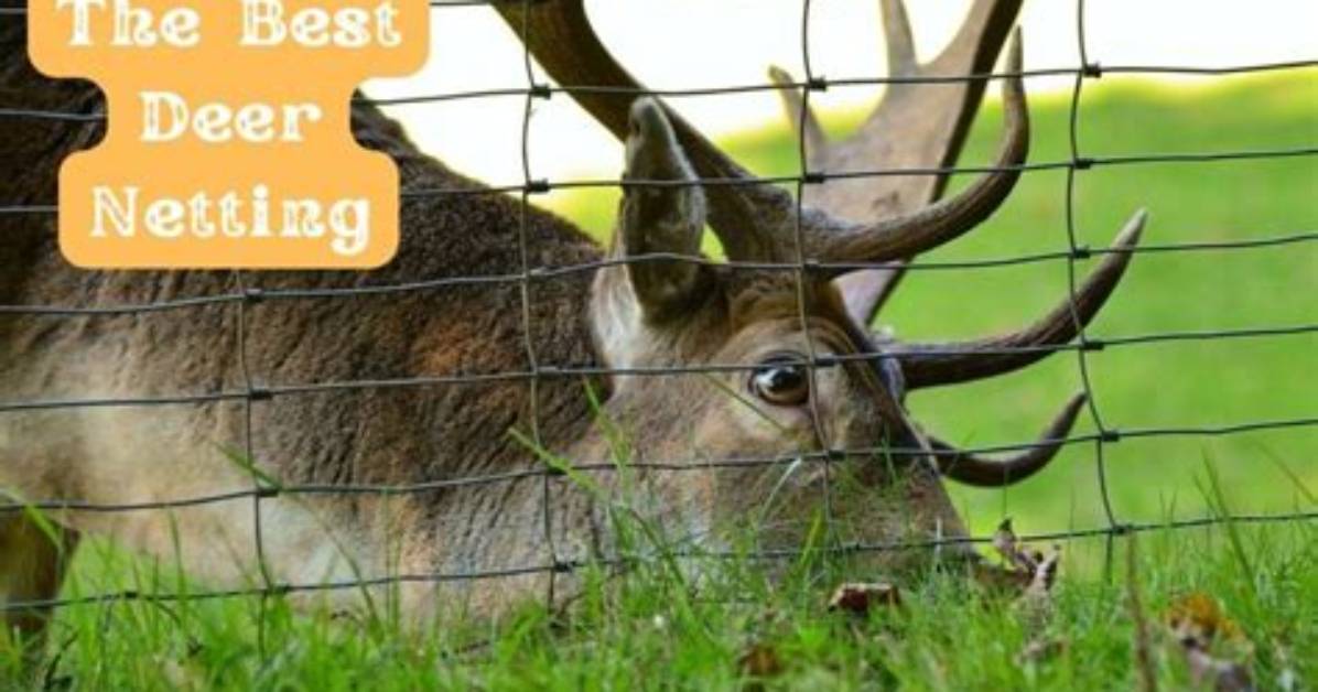 Does Netting Stop Deer?