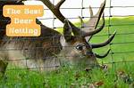 Does Netting Stop Deer?