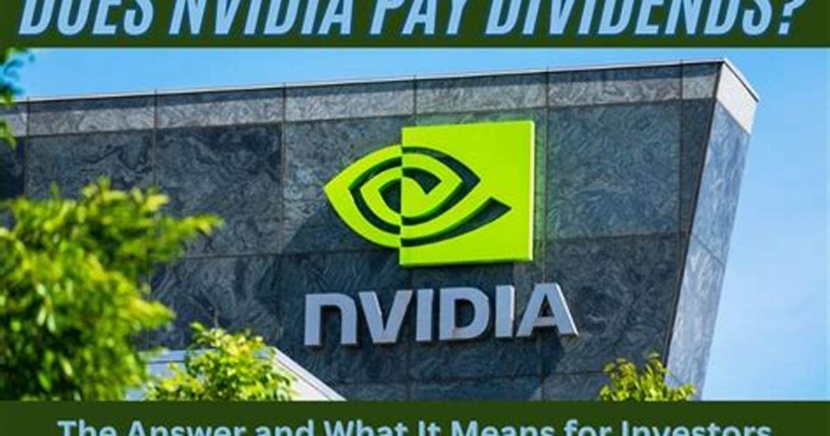 Does Nextdc Pay Dividends?