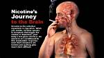 Does Nicotine Affect Intervertebral?