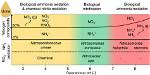 Does Nitrification Lower Ph?