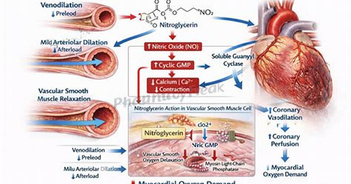 Does Nitroglycerin React with Water