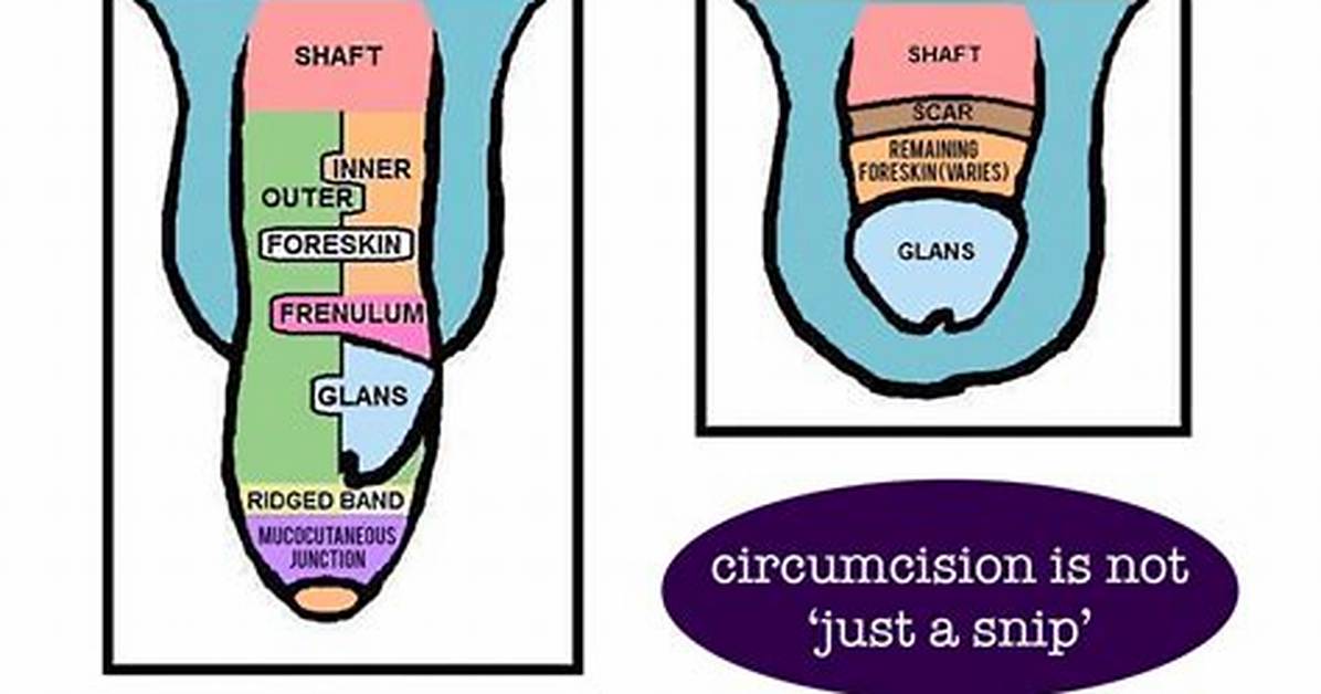 Does Not Being Circumcised Affect Ejaculation?