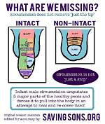 Does Not Being Circumcised Affect Ejaculation?