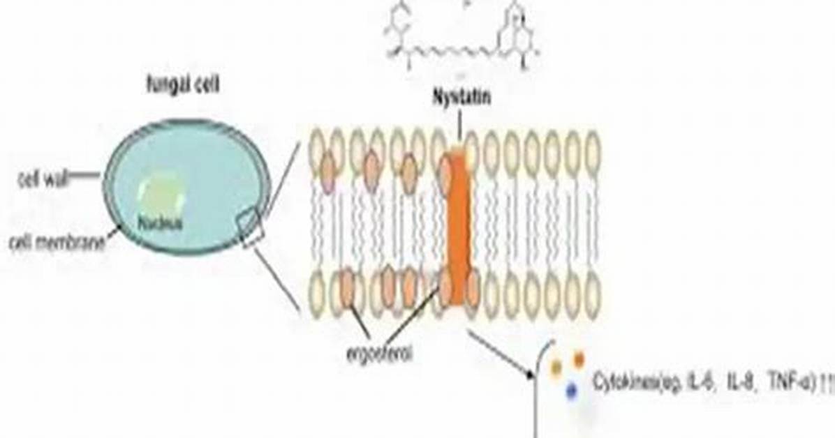 Does Nystatin Work Systemically?