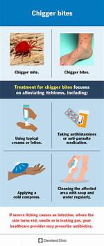 Does off Stop Chiggers?