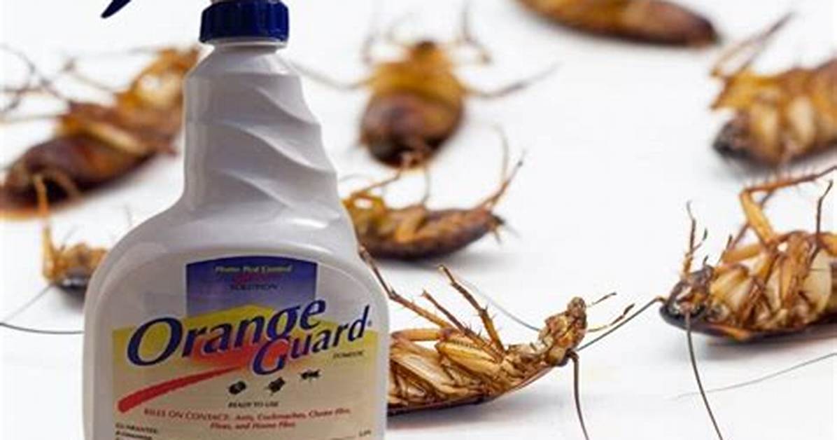 Does Orange Guard Kill Flies?