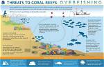 Does Overfishing Affect Fish?