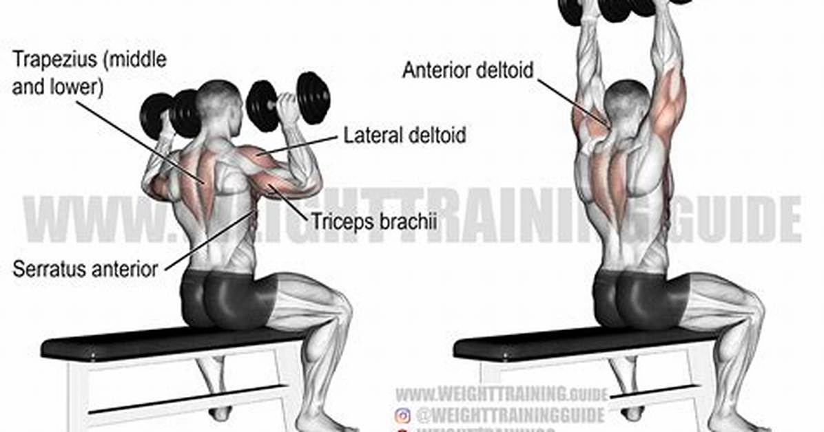 Does Overhead Press Work Chest?