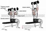 Does Overhead Press Work Chest?