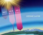 Does Ozone Absorb Uv?