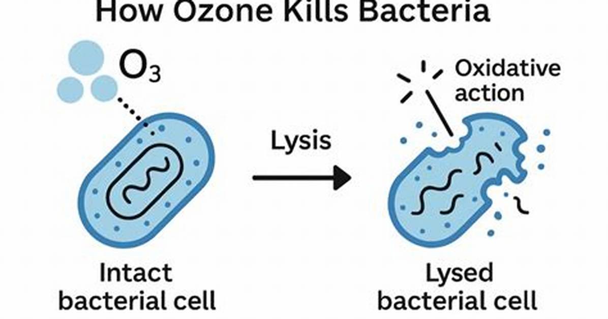 Does Ozone Kill Bartonella?