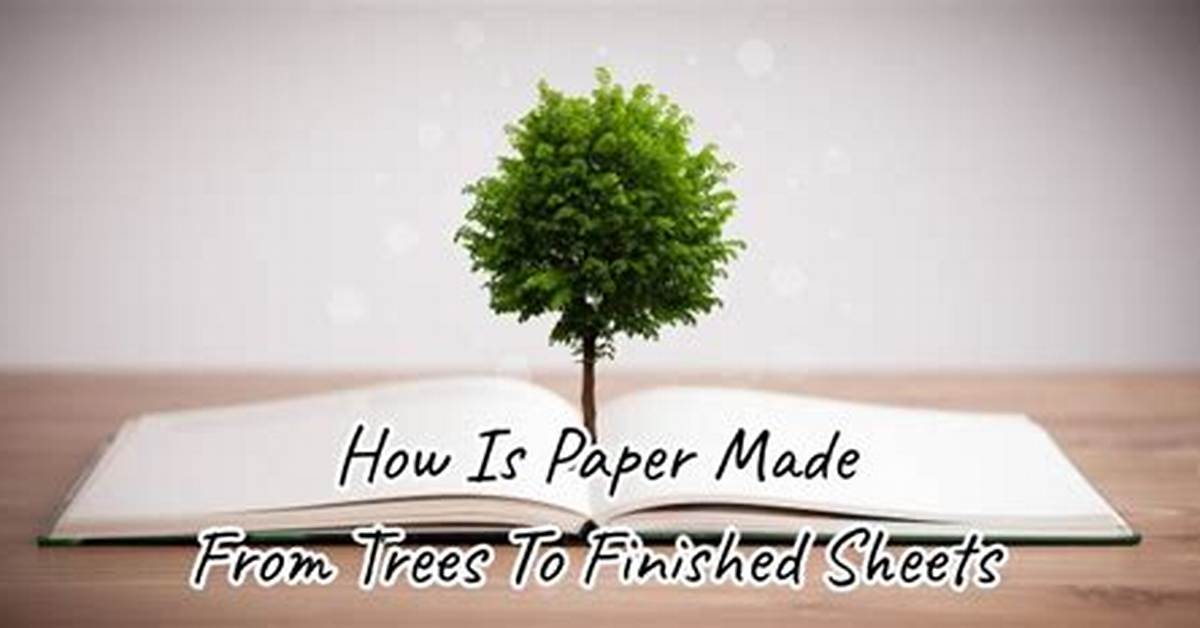 Does Paper Come from Trees?