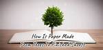 Does Paper Come from Trees?