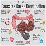 Does Parasites Cause Constipation?