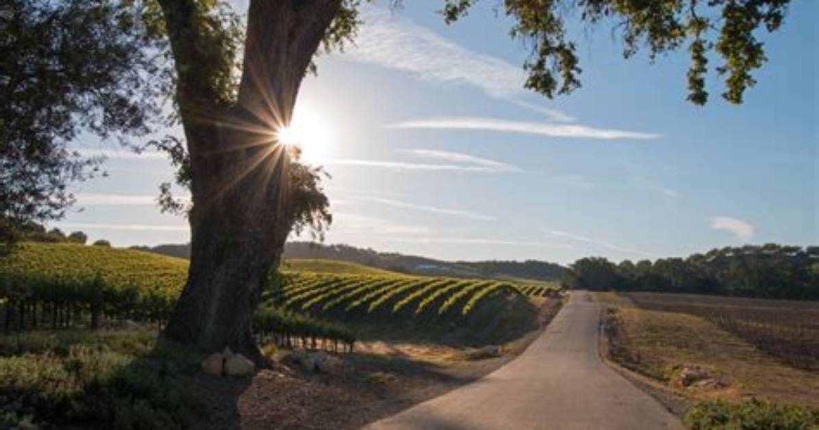 Does Paso Robles Have Uber?