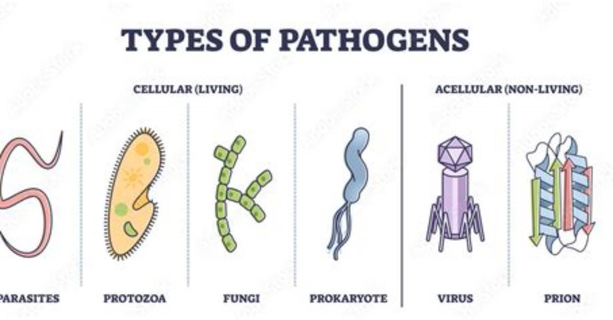 Does Pathogens Cause Diseases?