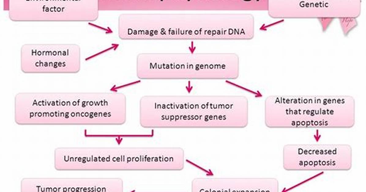 Does Pathophysiology Include Symptoms?