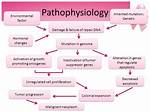 Does Pathophysiology Include Symptoms?