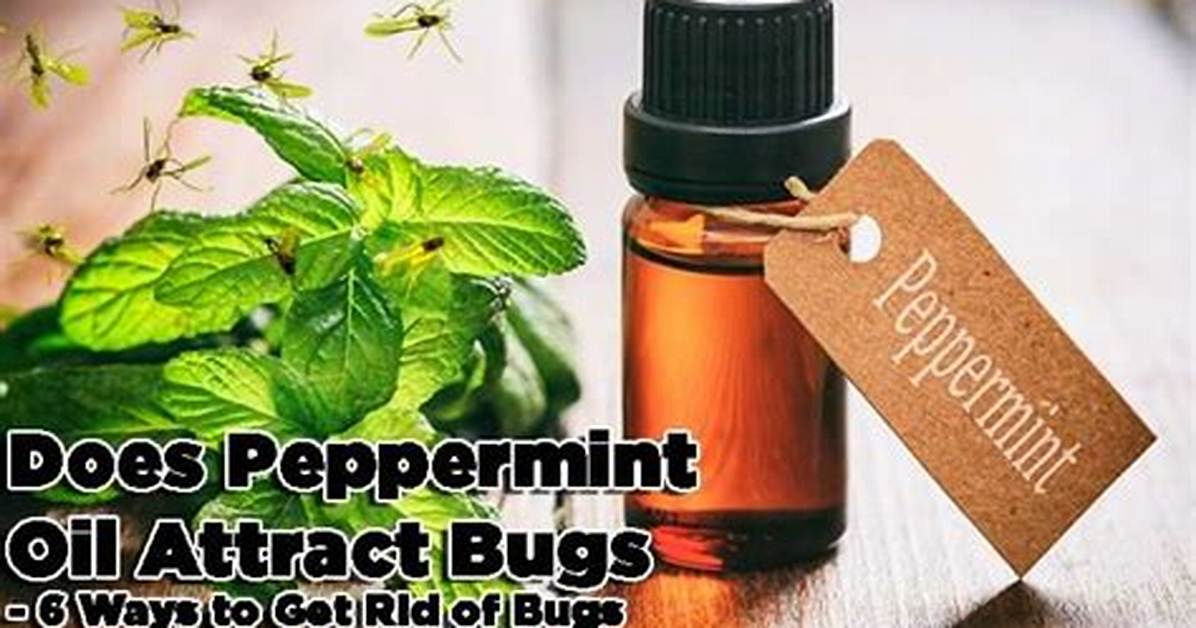 Does Peppermint Attract Bugs?