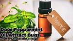 Does Peppermint Attract Bugs?
