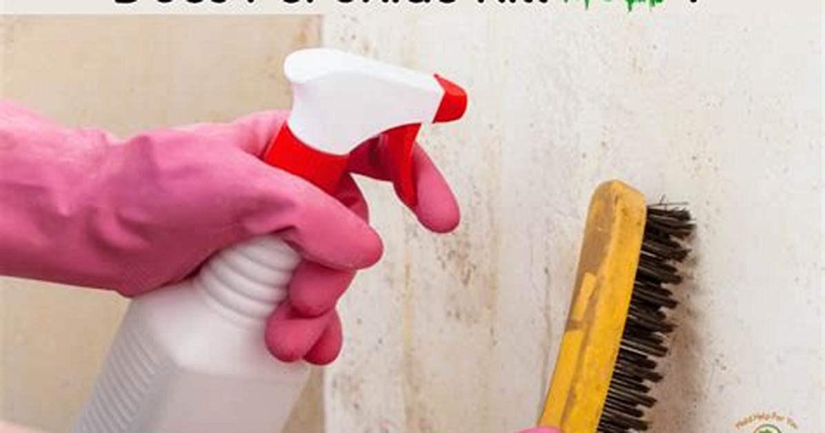 Does Peroxide Kill Mold