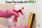 Does Peroxide Kill Mold