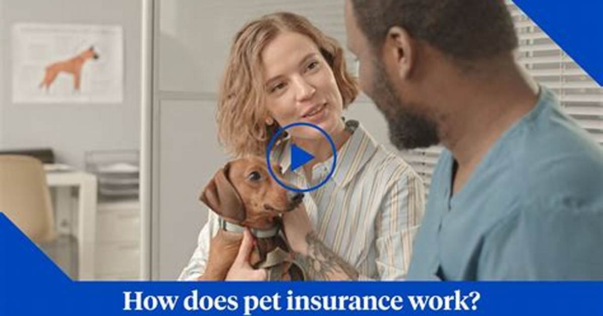 Does Pet Protector Really Work?