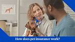 Does Pet Protector Really Work?