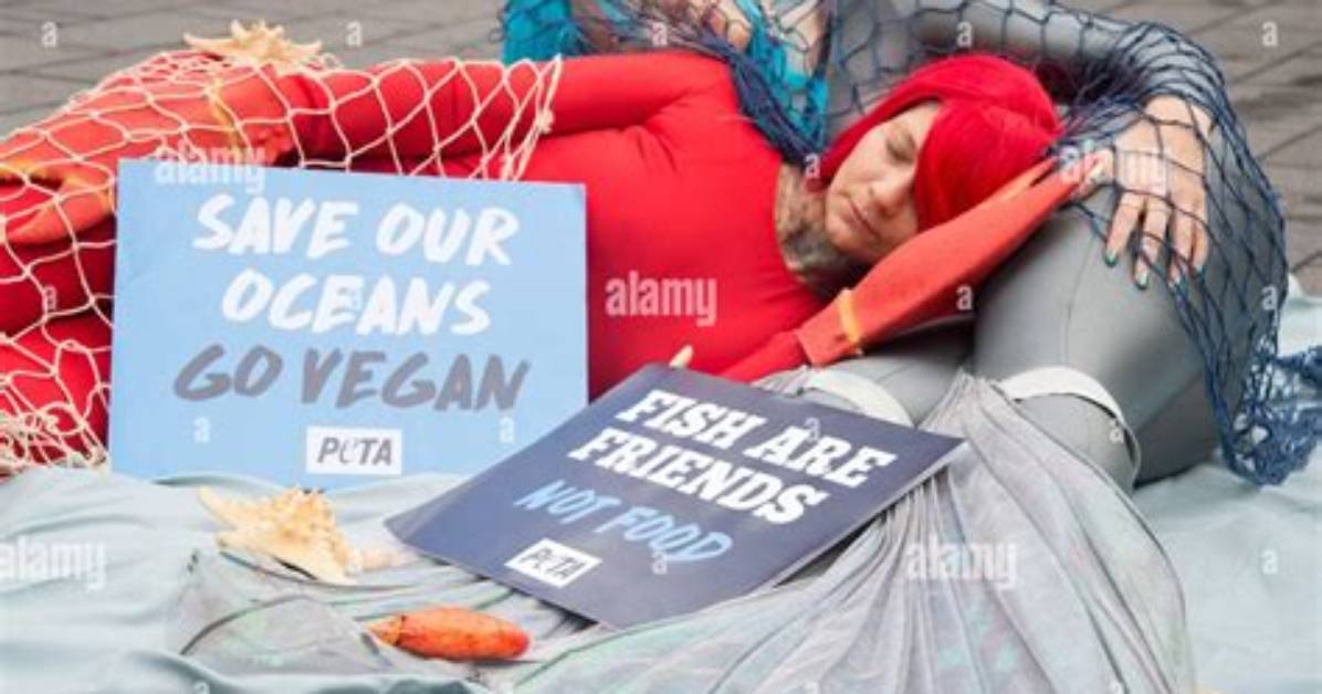 Does Peta Protect Fish
