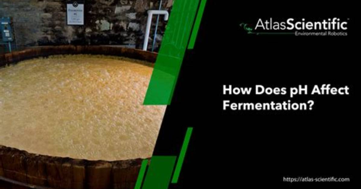 Does Ph Affect Fermentation?