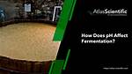 Does Ph Affect Fermentation?