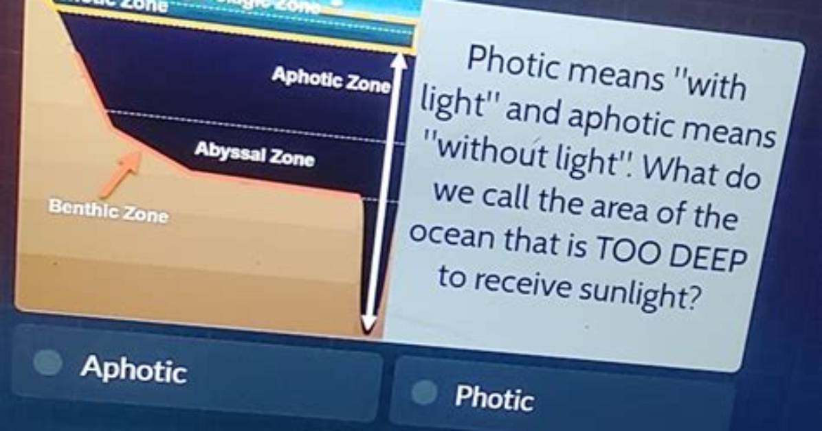 Does Photic Zone Mean?