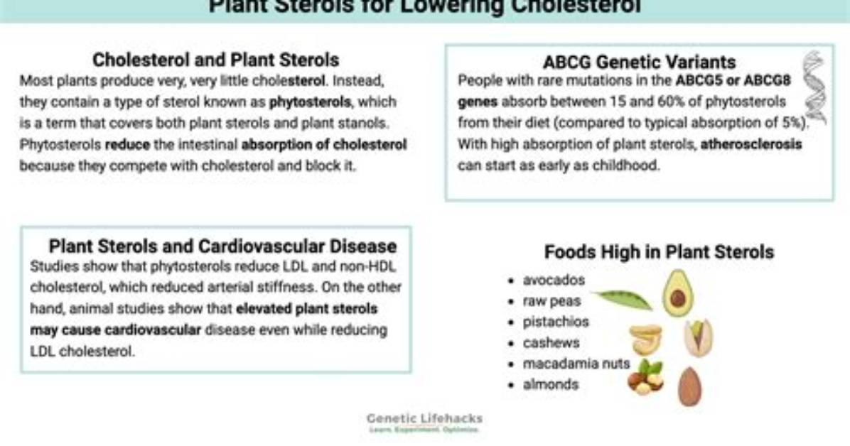 Does Phytosterols Reduce Cholesterol?