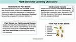Does Phytosterols Reduce Cholesterol?