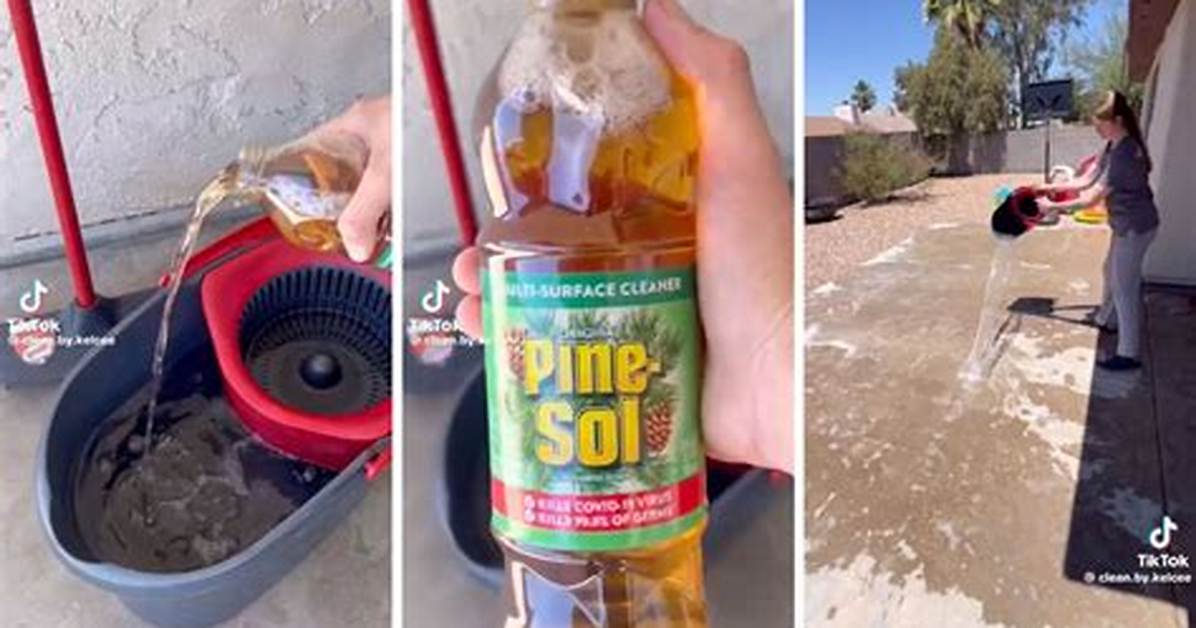 Does Pine Sol Keep Bugs Away? Check This out – Does Pine Sol Kill Bugs