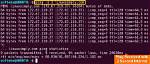 Does Ping Work in Linux?