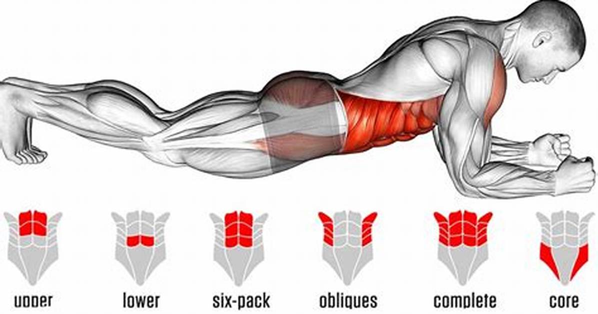 Does Planking Help Abs?