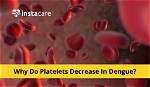 Does Platelets Decrease in Dengue?