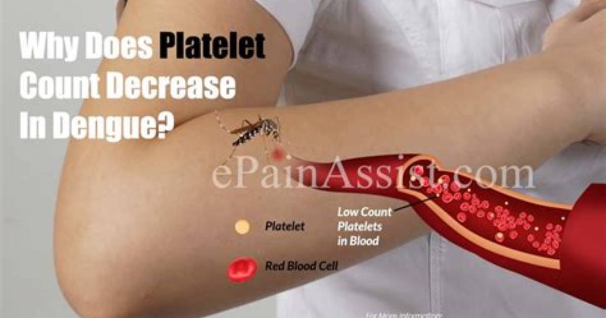 Does Platelets Increase and Decrease in Dengue?