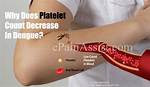 Does Platelets Increase and Decrease in Dengue?
