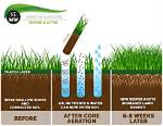 Does Plug Aeration Work