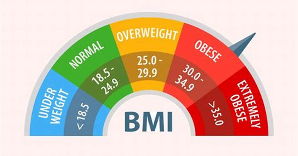 Does Plus-Size Mean Fat?